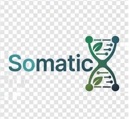 Somaticx